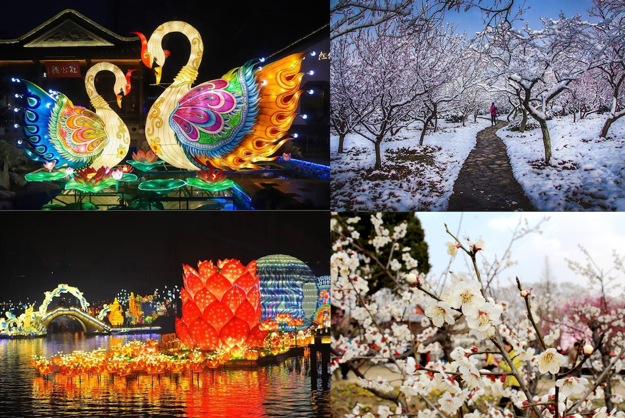 Nanjing special activities