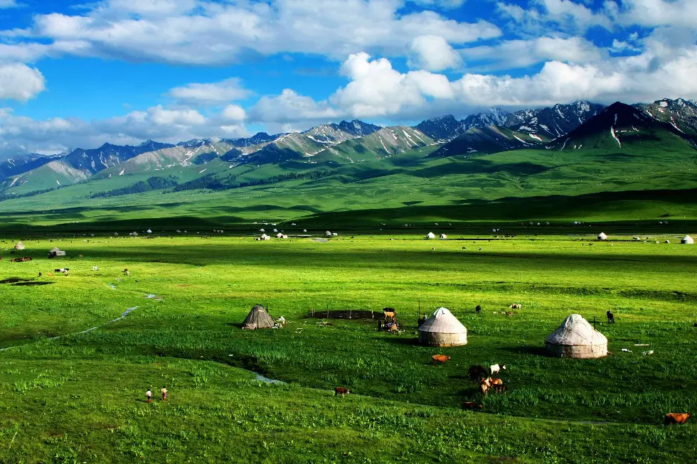 nalati grassland in northern xinjiang yili summer months