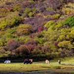 guozhuanping haizi valley mount siguniang