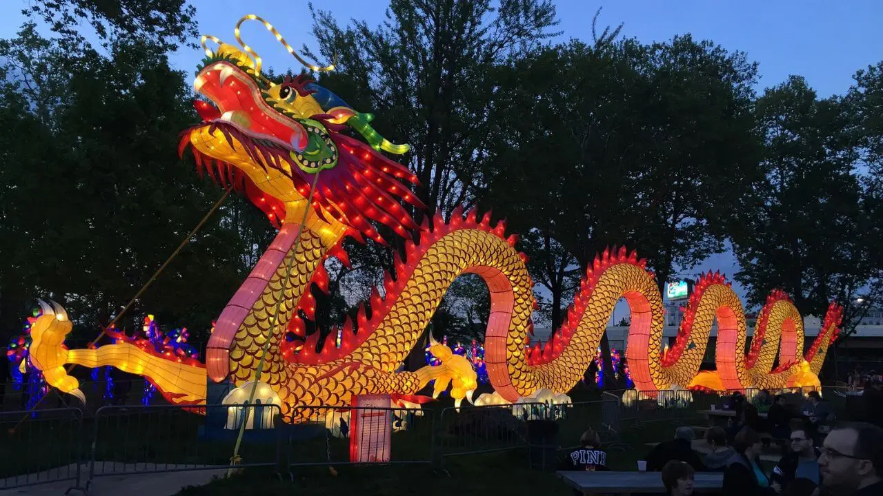 the year of the dragon