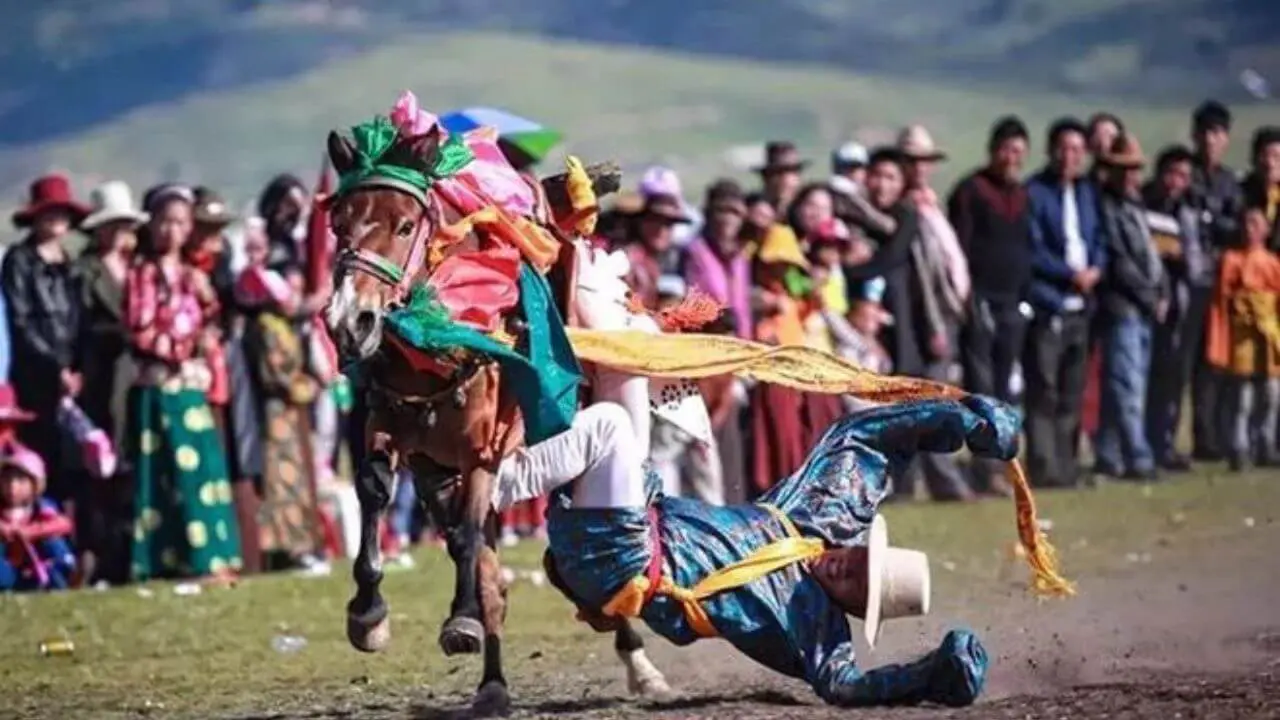 Main Attractions of the Festival