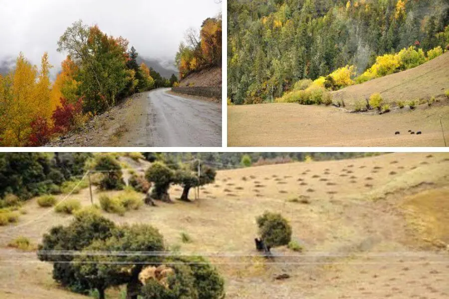 Scenery along the way