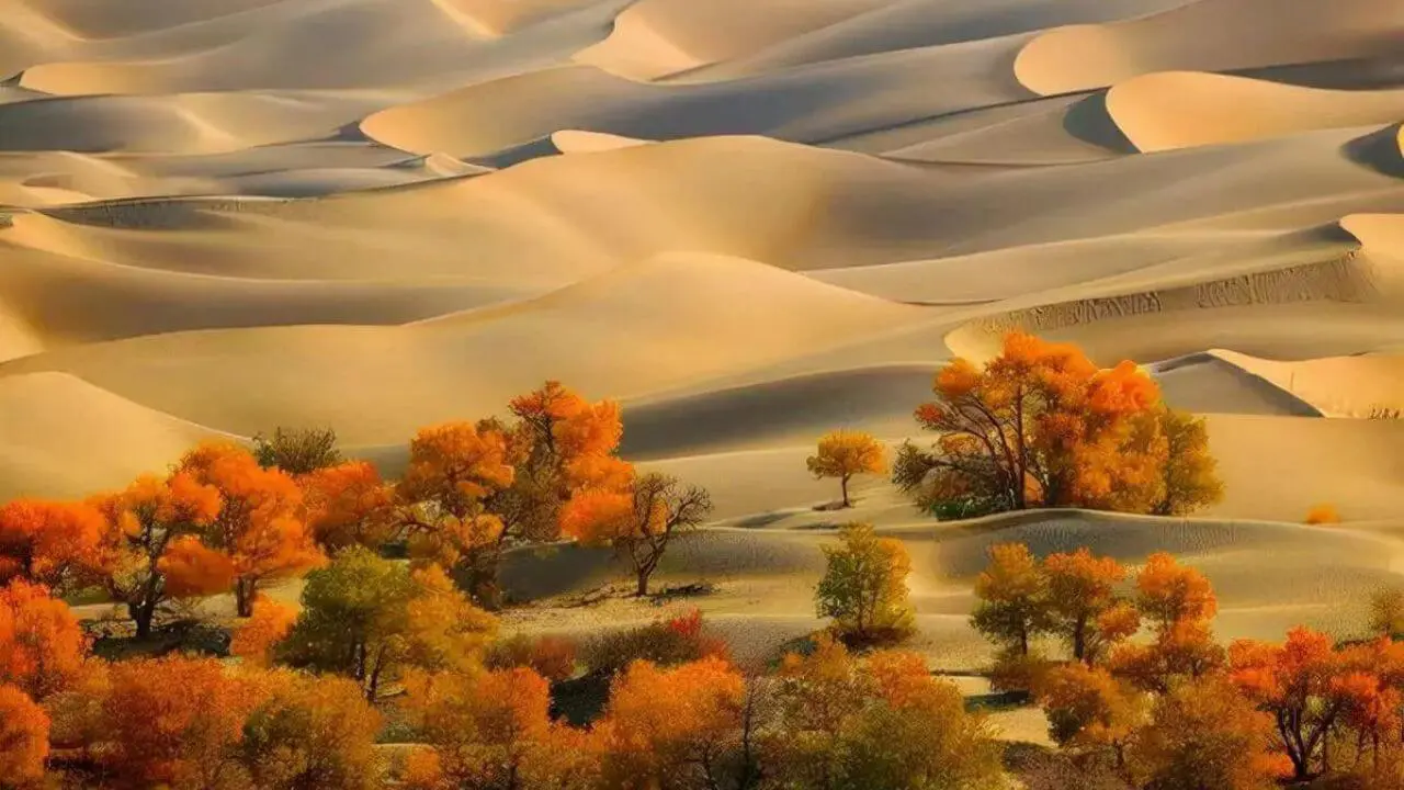 Taklamakan Desert