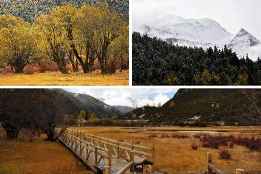 way to chonggu temple