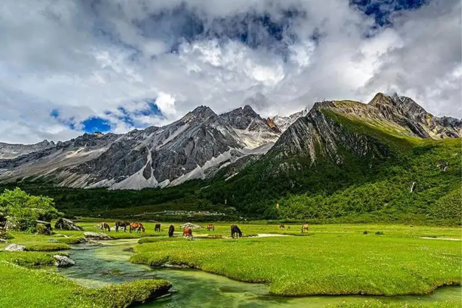 Yading Nature Reserve