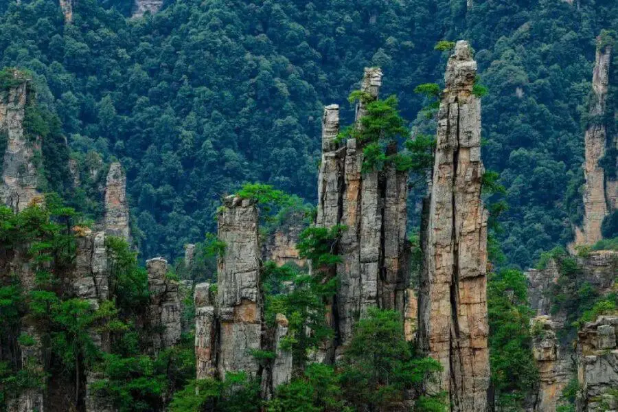 Zhangjiajie National Forest Park