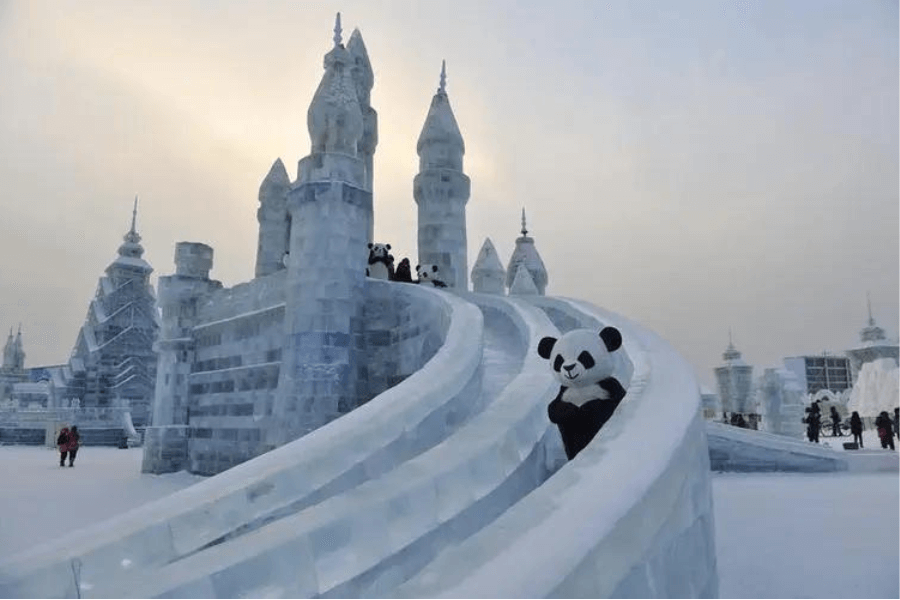Activities and Attractions on Harbin Festival