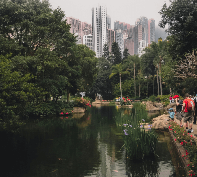 Hong Kong in December