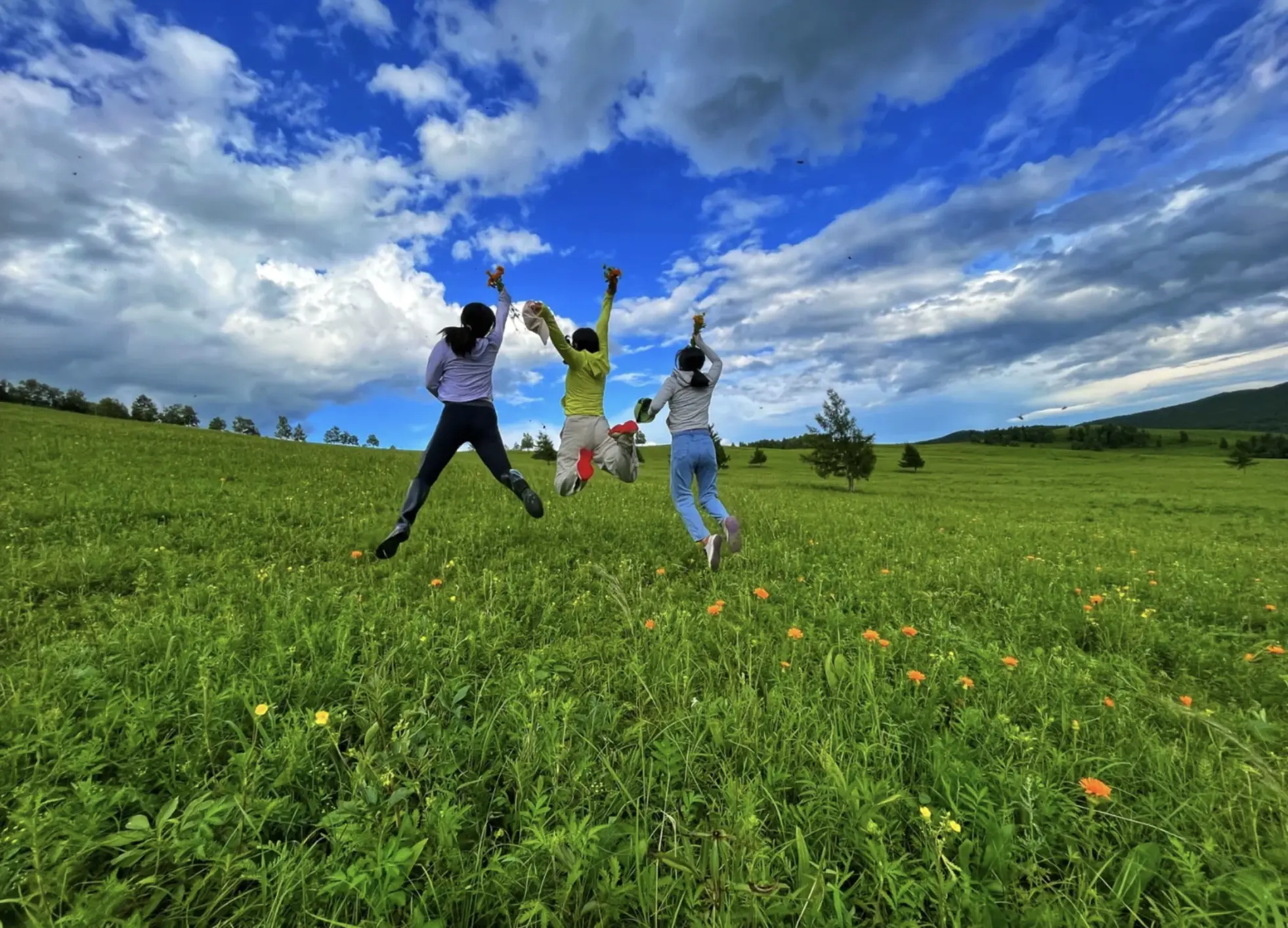 hulunbuir grassland tour