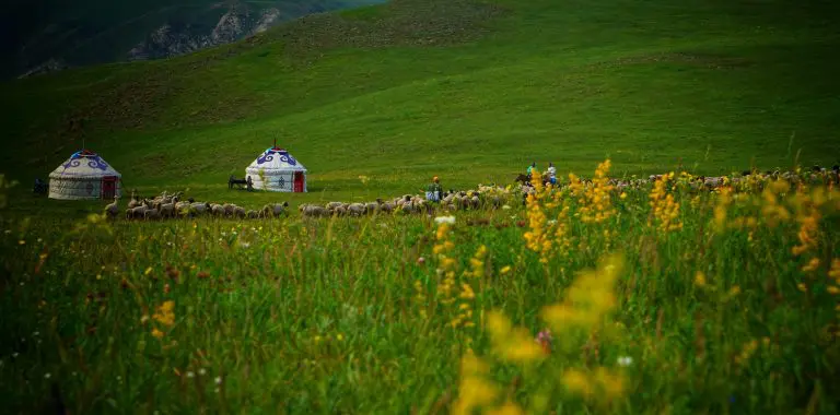 Inner Mongolia Grassland tour