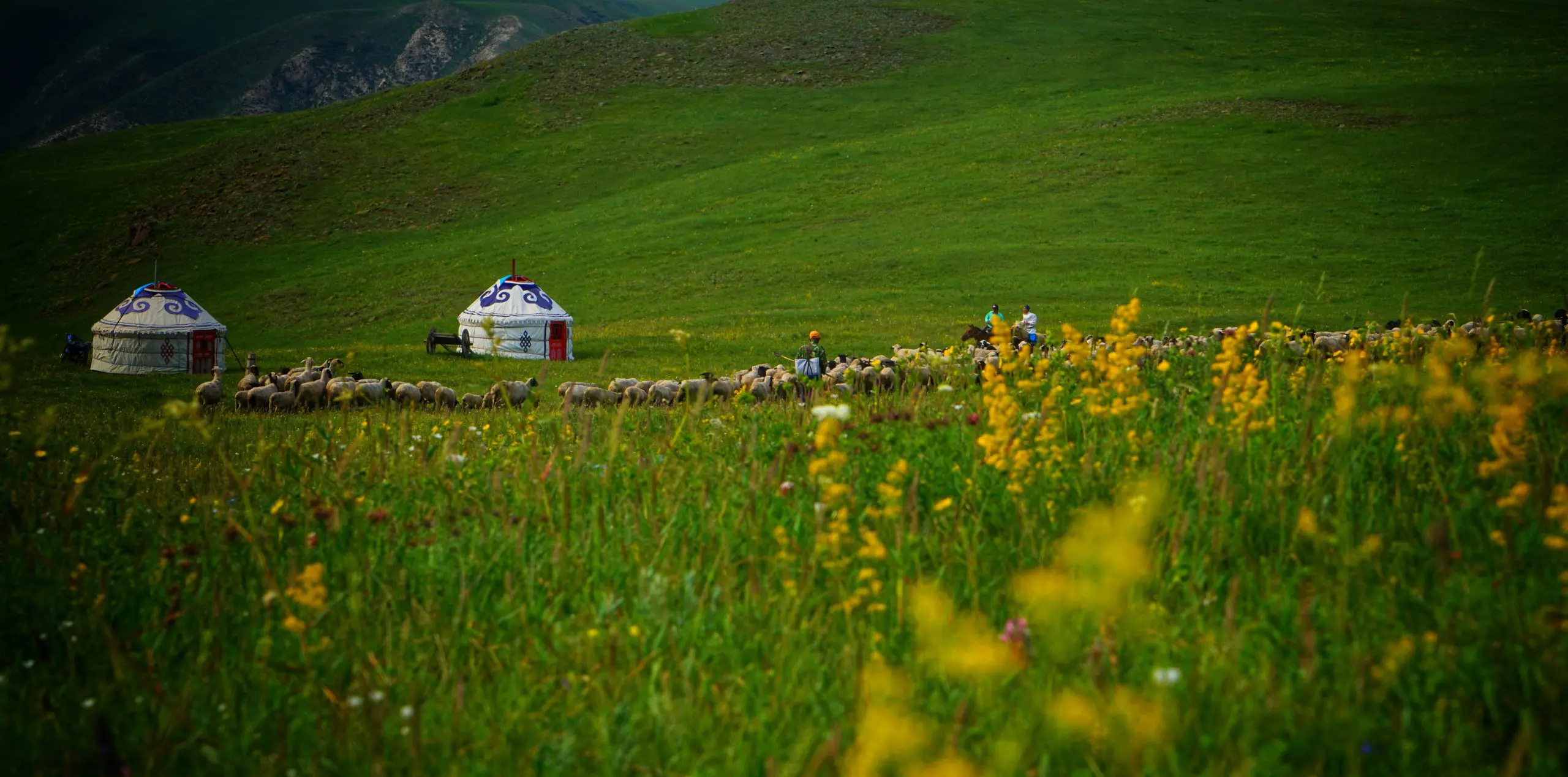 Inner Mongolia Grassland tour