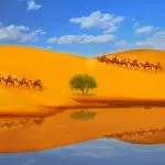 Kubuqi Desert Inner Mongolia