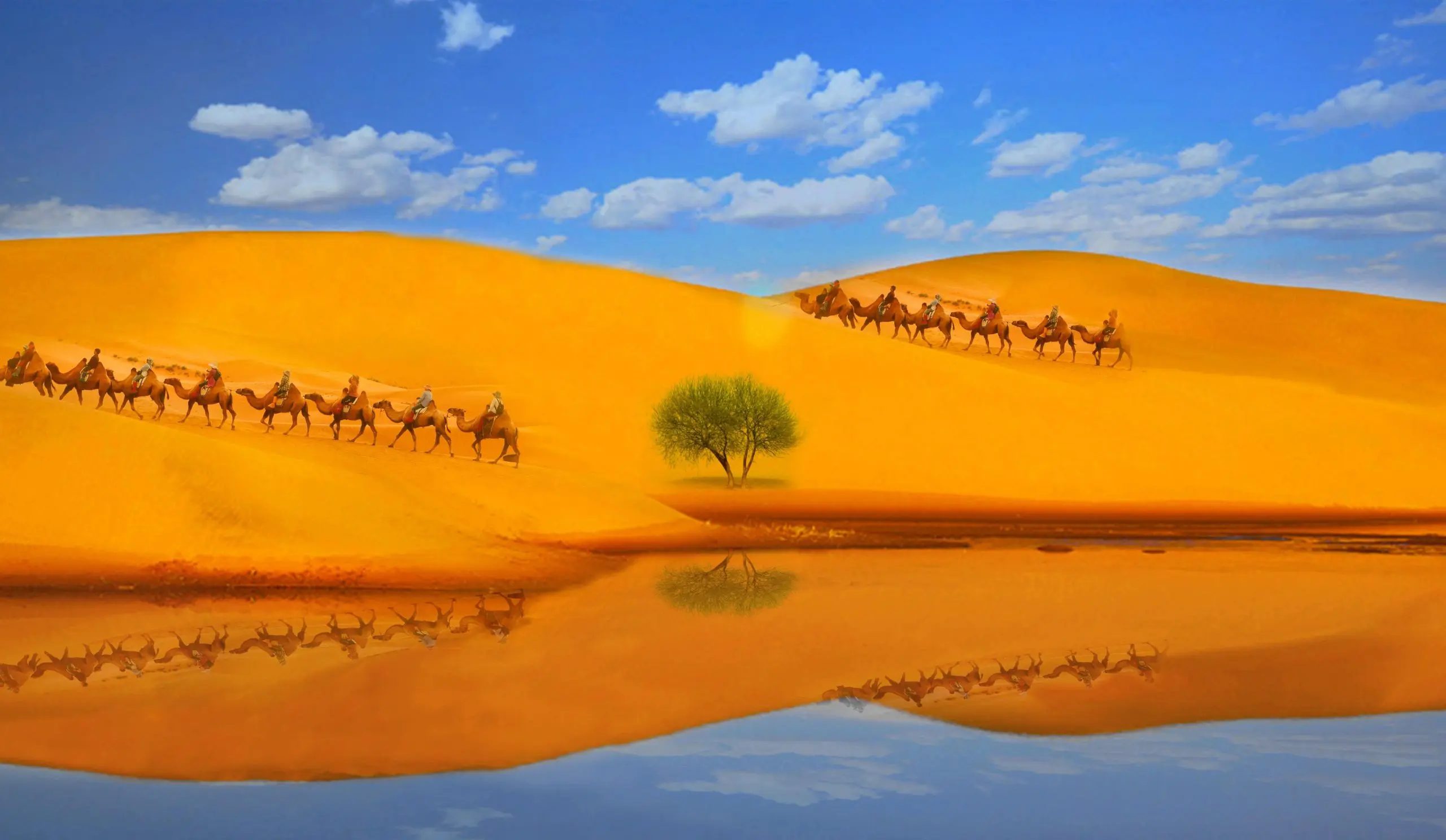 Kubuqi Desert Inner Mongolia