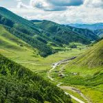 Yellow Flowers Valley