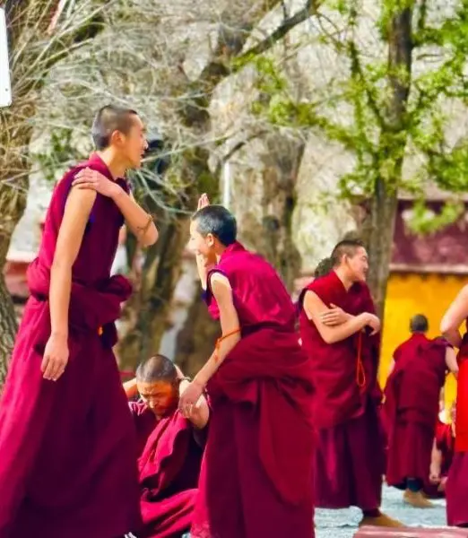 Sera Monastery- Debating