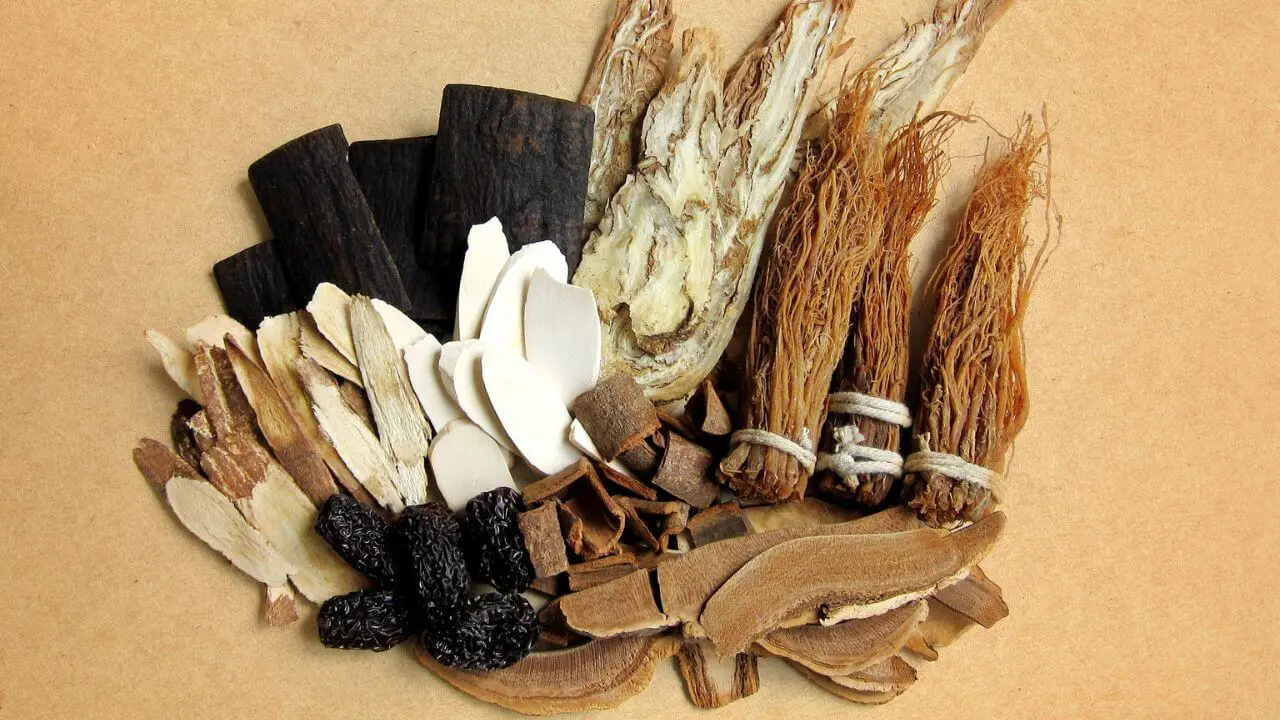 traditional medicine