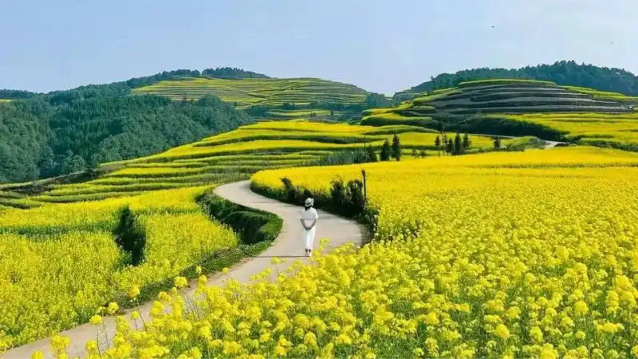 Why to visit Luoping