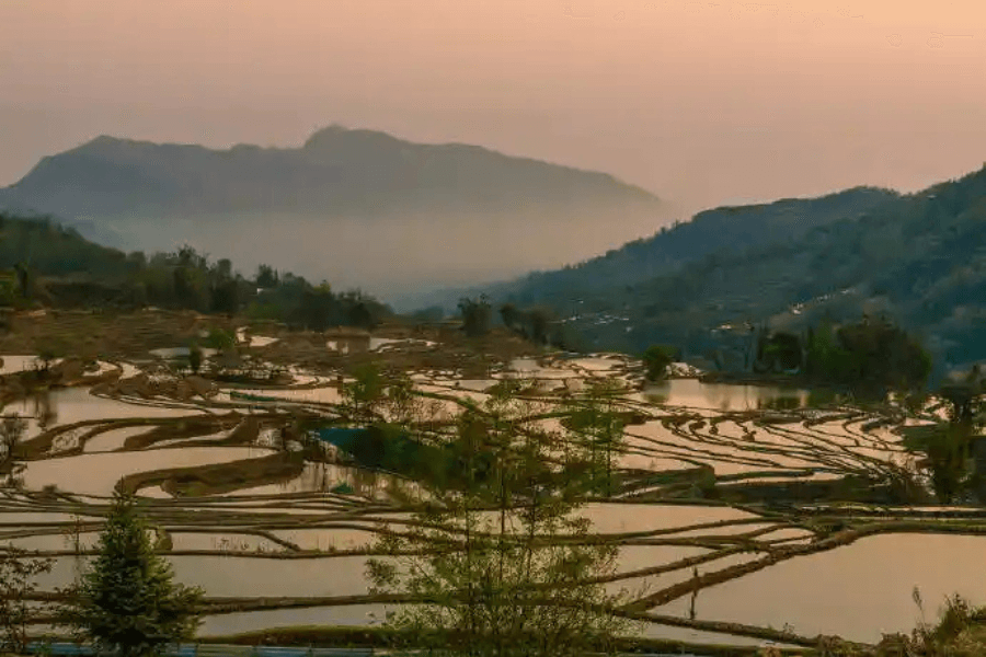Qingkou Hani Ethnic Village rice terraces