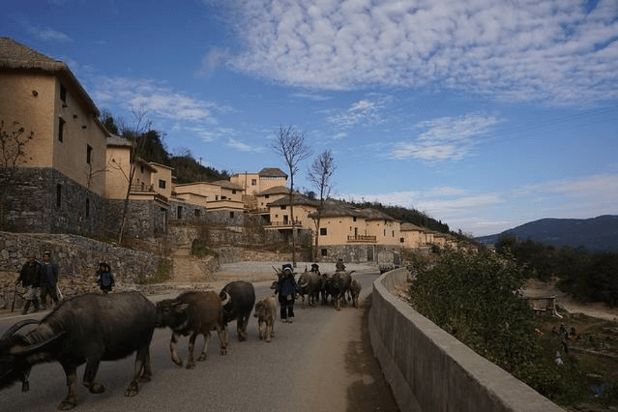 Qingkou Hani Ethnic Village view