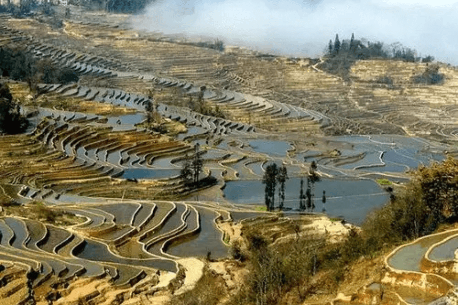 The Yuanyang Rice Terraces