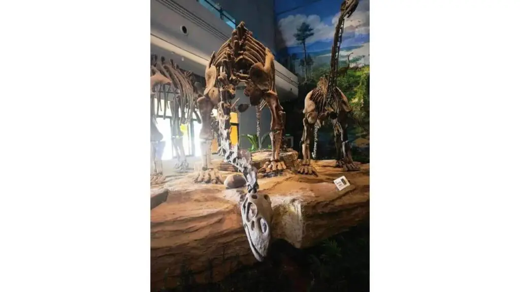 The Zigong Dinosaur Museum