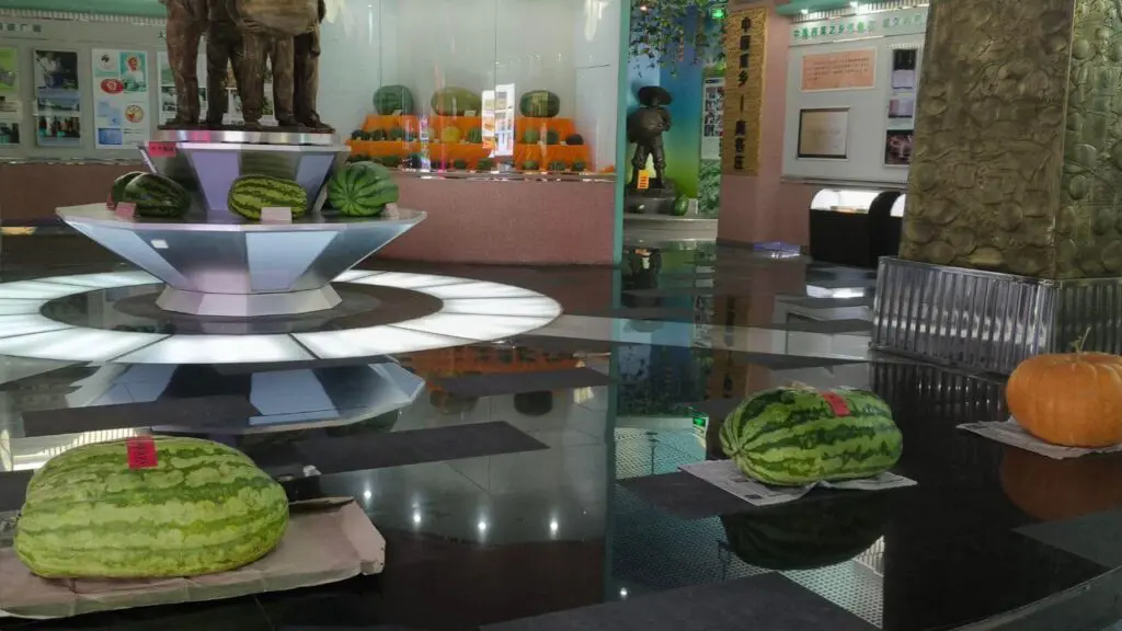 Watermelon Museum