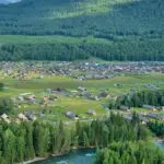 hemu-in-summer-northern-xinjiang