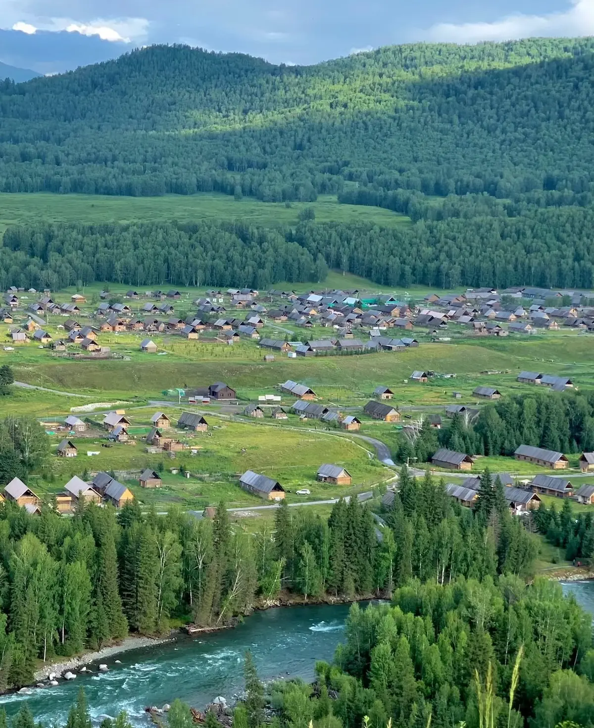 hemu-in-summer-northern-xinjiang