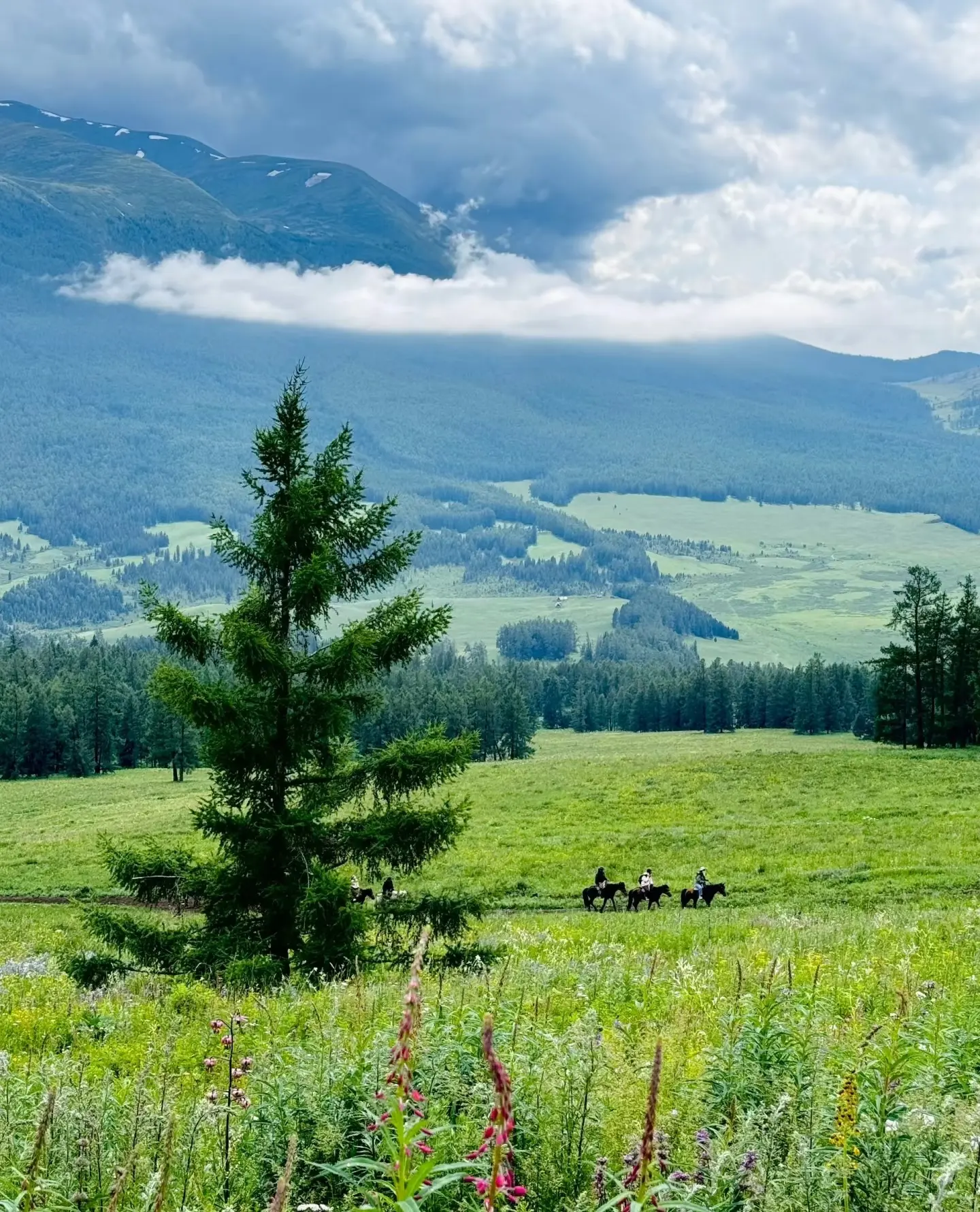 kanas-lake-in-summer