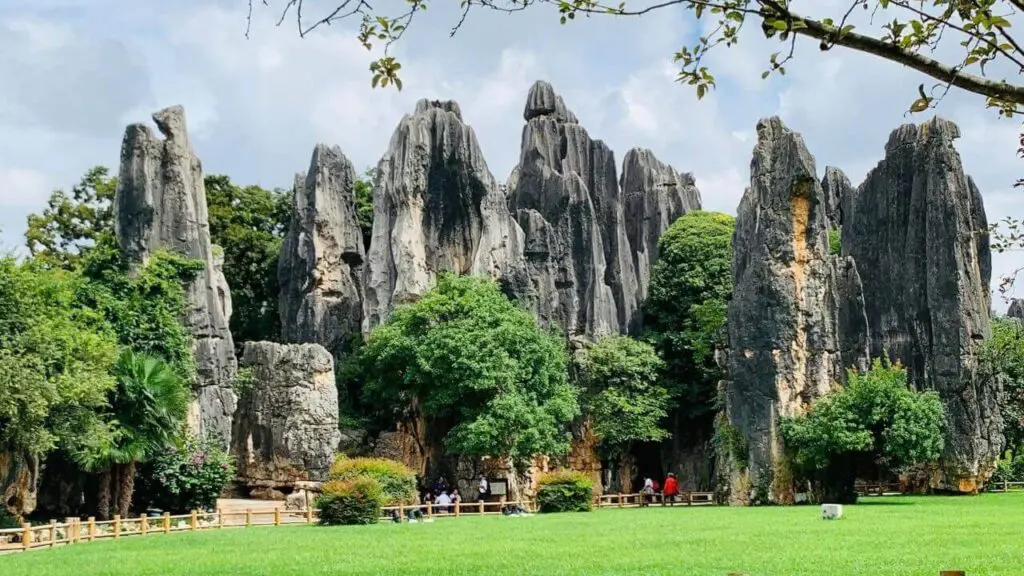 Stone Forest