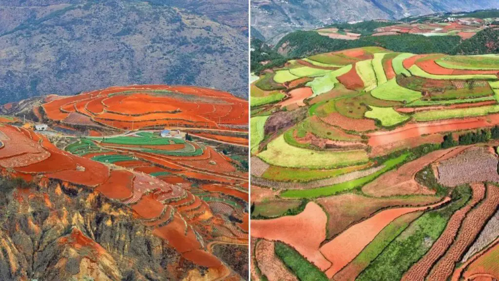 Dongchuan Red Land (Kunming)