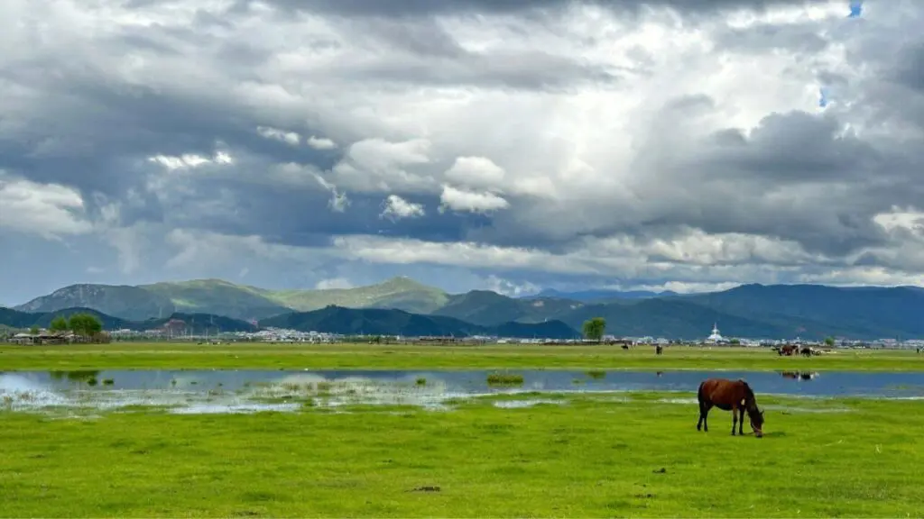 Napa Lake (Shangri-La)