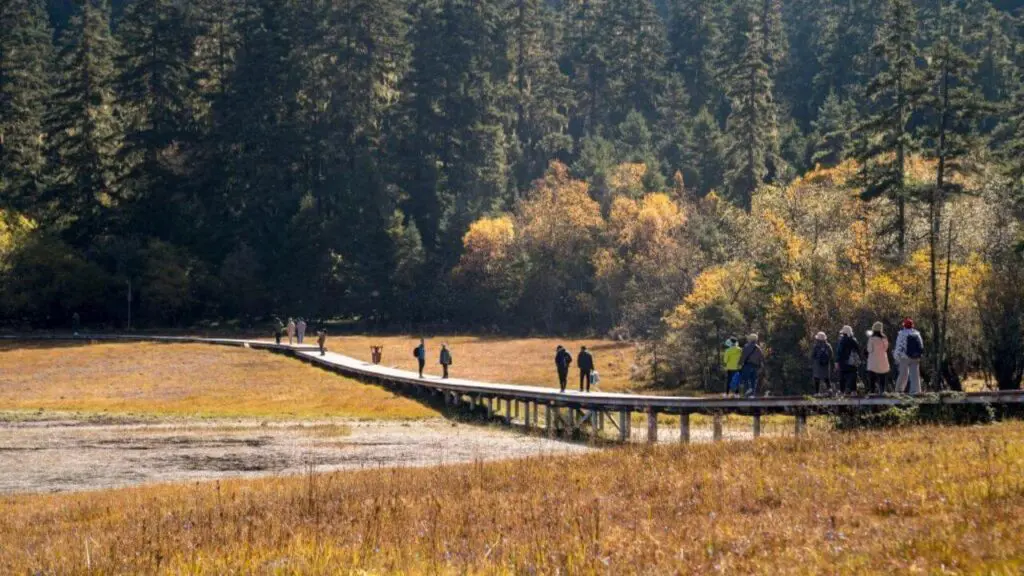 Pudacuo National Park in autumn