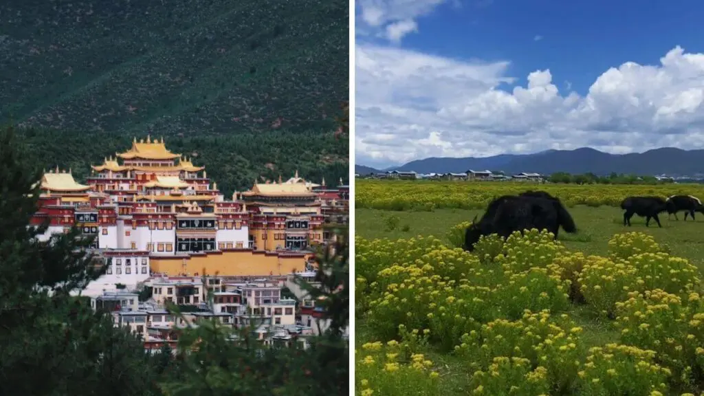 Shangri- La in summer