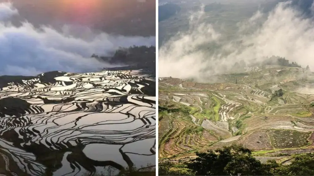 Yuanyang’s rice terraces in winter
