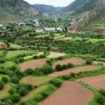 landscapes-drive-batang-markham