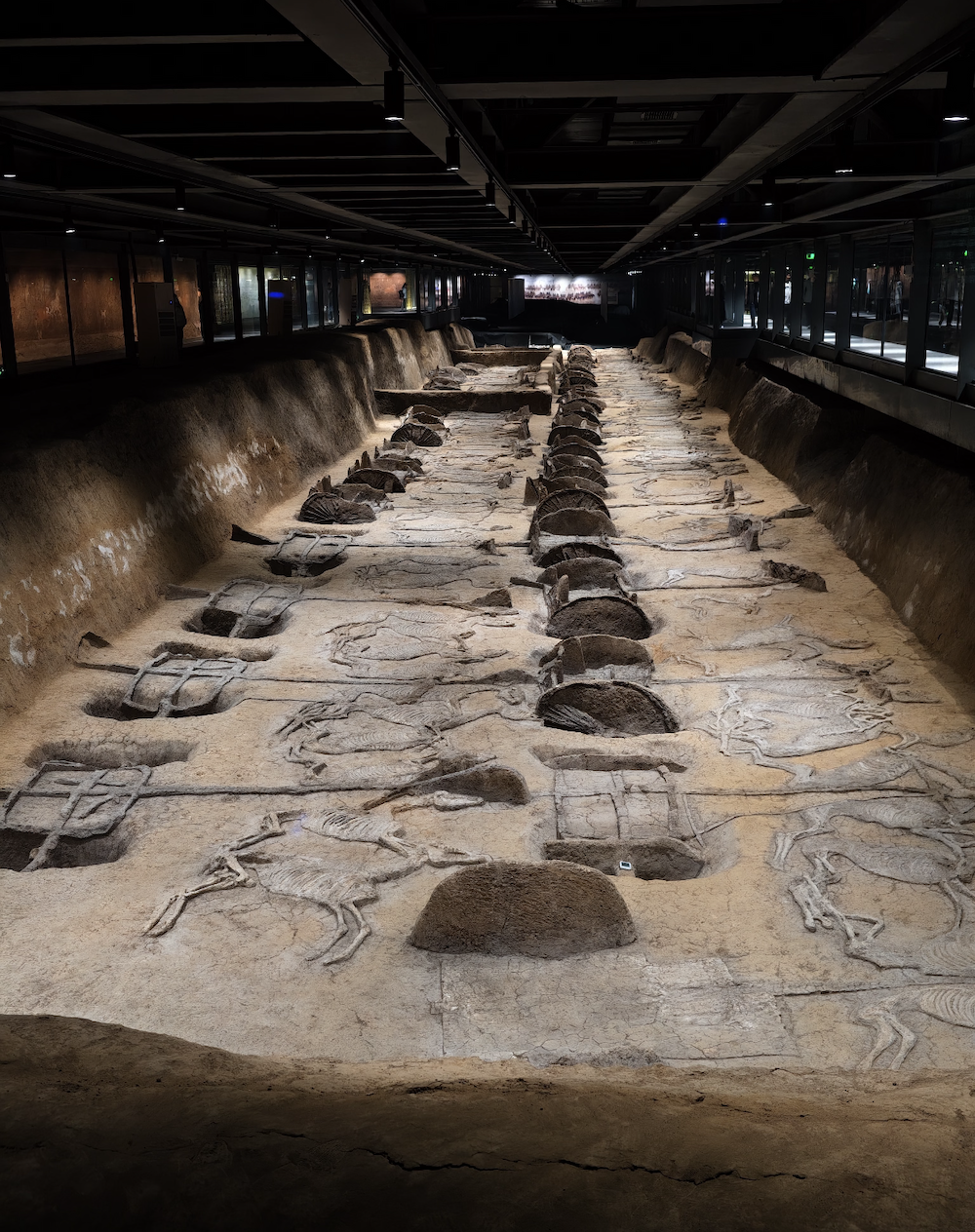 Chu King’s Chariot and Horse Array in Jingzhou
