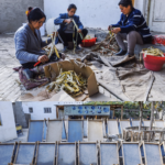 mulberry-paper-making-hotan-xinjiang
