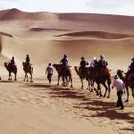 Mingsha Mountain Camel Experience, Dunhuang
