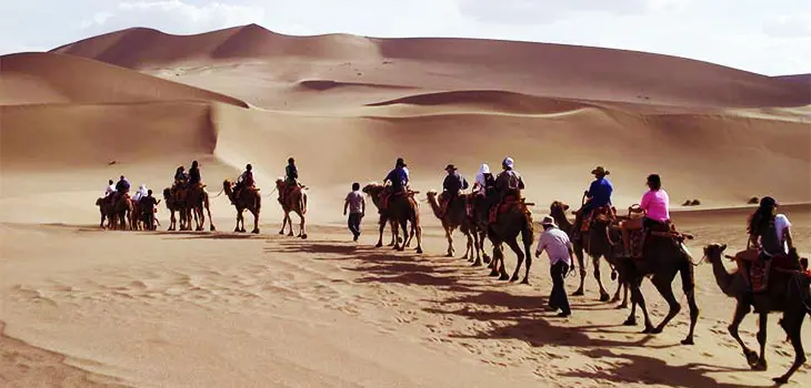 Camel Riding at Mingsha Mountain - top experience at China silk Road