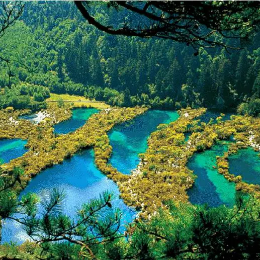 Shuzheng Lakes at Jiuzhaigou National Park