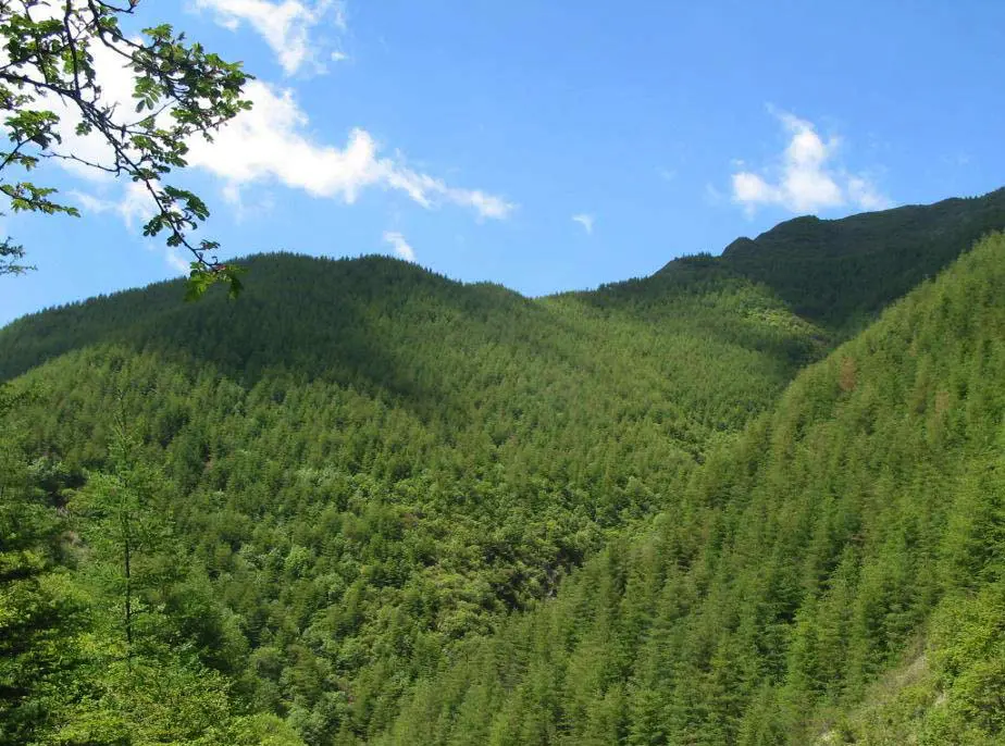 Liupanshan National Forest Park