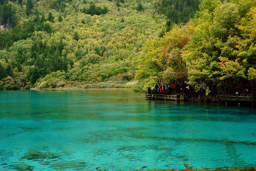 Five flower lake at Rize Valley in Jiuzhaigou National Park