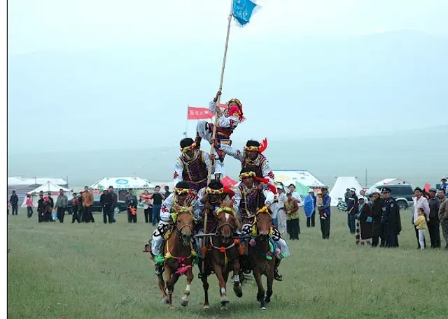 Horse Performance in Haibei