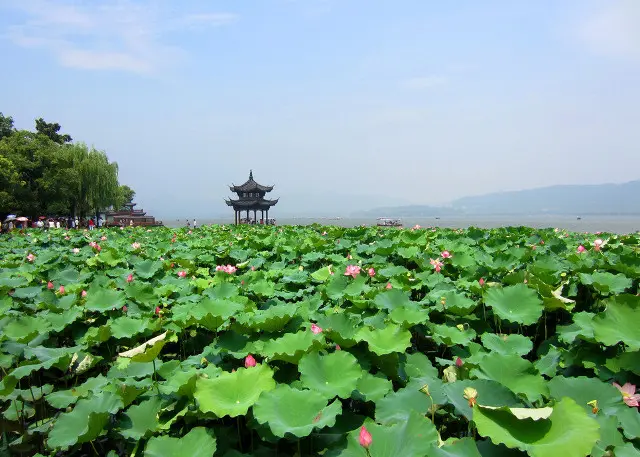 Summer West Lake in Hangzhou China