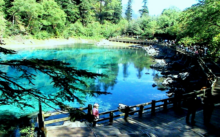 Five Colored Pool at Zechawa Valley in Jiuzhaigou National Park
