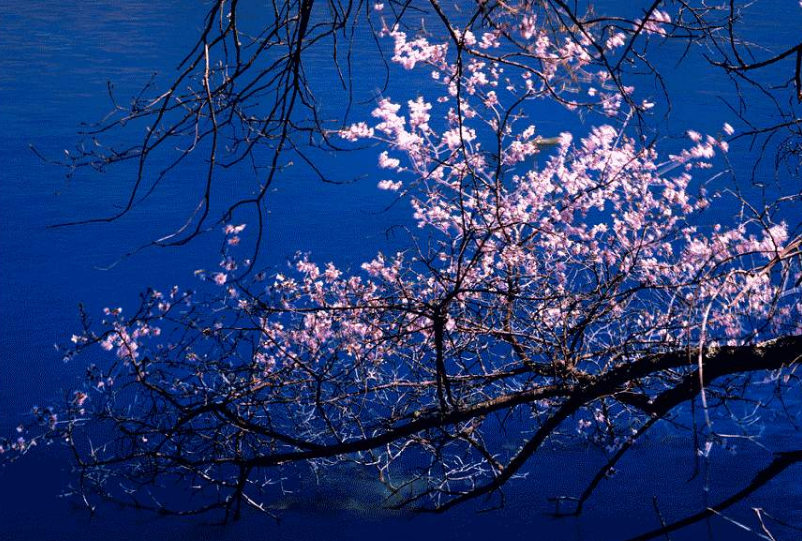 Spring in Jiuzhaigou Valley