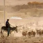 Mount Kailash overland tour from Lhasa to Kashgar