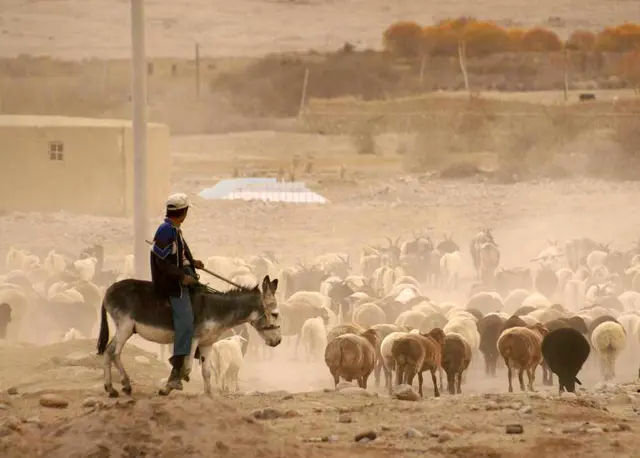 Mount Kailash overland tour from Lhasa to Kashgar