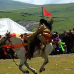 Litang horse racing festival